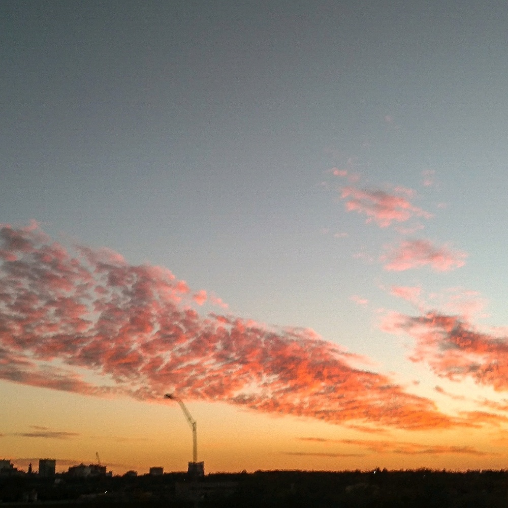 Meet your Posher, Rebecca